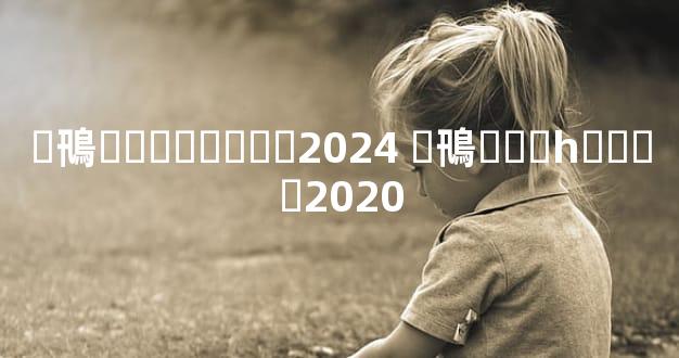 �鳵�۸������2024 �鳵�۸�һ����2020